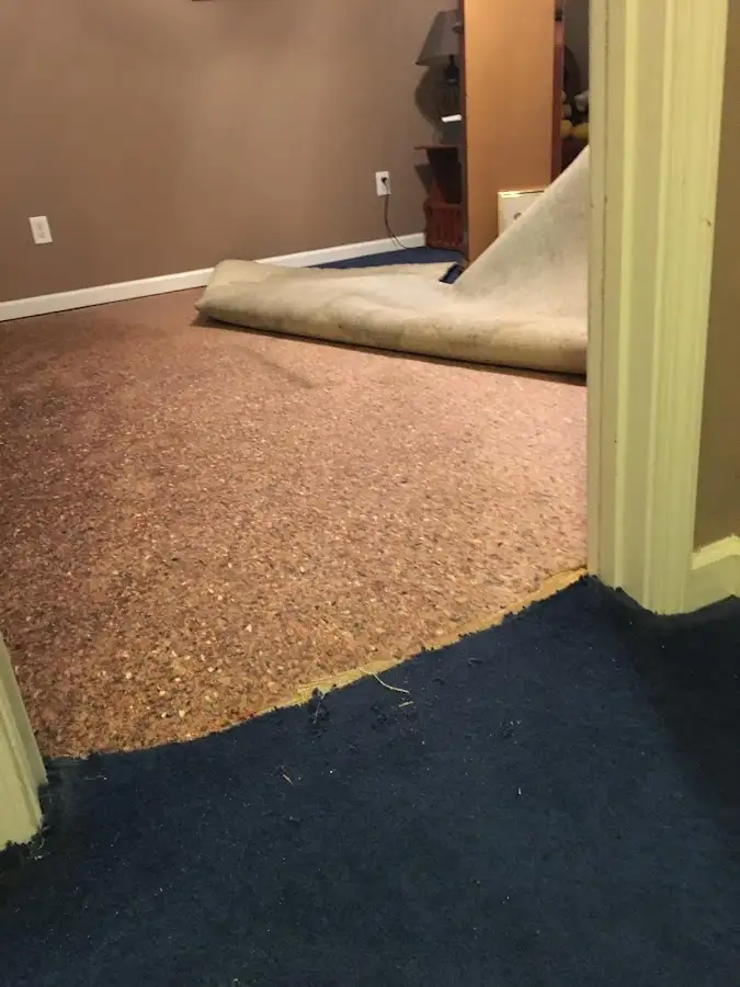 Carpet pad removal revealing water damage during Drying & Dehumidification in Williamsburg